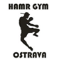 Hamr Gym Ostrava